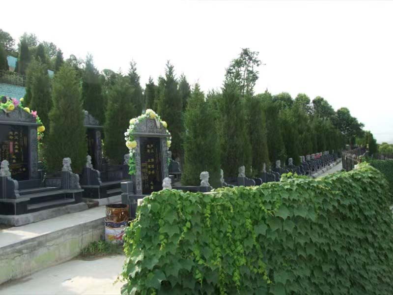 微信图片_20220811103441.jpg