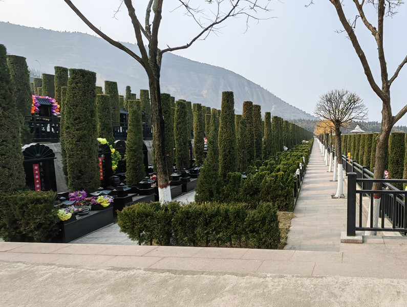 汉皇树葬墓园中的传统立碑和树葬哪个好