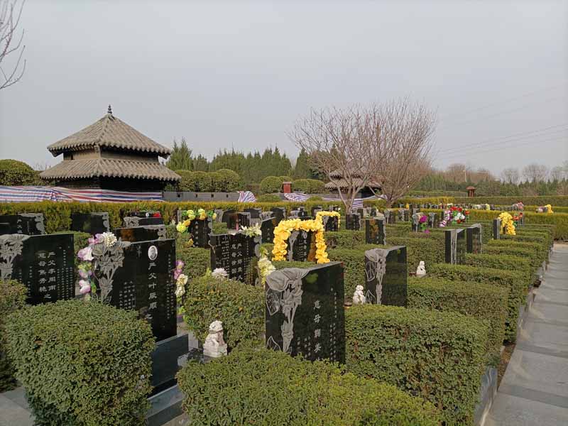 3月起，土葬火葬一刀切？中央1号文件：推进乡村殡葬改革